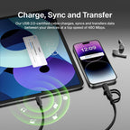 Belkin 2-in-1 Cable with USB-C and  Lightning Adapter